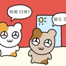 일기일회 이미지