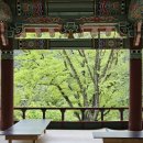 뻐꾸기 복사 | 6/20 경산 하양여행]갑갑한 일상에서 벗어나 힐링하고 온 대구근교 절 [환성사]
