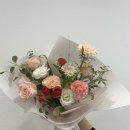 비엘리 이미지