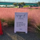 낙동강변로4-29 | 안동여행 필수코스 낮에는 꽃구경 밤에는 음악분수와 야경구경 그라스원