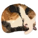 중2동-10 이미지