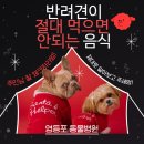 영등포 동물병원 이미지