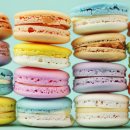 청춘마카롱 이미지