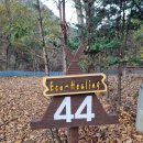 금대자동차야영장(치악산국립공원) 이미지