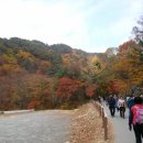 가야산 이미지
