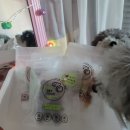 1982 PET FOOD 이미지