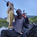 경기동로R | 베이트로드 발러와 함께한 아침피딩 탑워터낚시