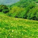 제일목장 이미지