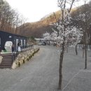 오솔길오토캠핑장 이미지