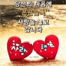 찬란한 인생 이미지