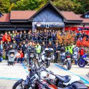 보리토리 이미지