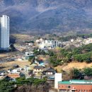 관평천 | 봄맞이 관평천 산책
