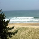 안녕바다야 민박 이미지