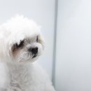 여서동물병원 이미지