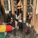 청아농장 이미지