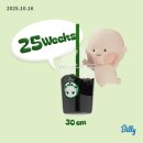 147 | [임신_ep.10] 임신 25~28주 차｜입체초음파·역아 그리고 임당검사 147, 재검 통과 후기