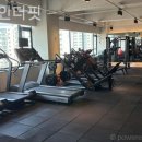 리파인더핏