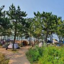 용애마트 | 인천 선녀바위해수욕장, 캠핑하기 너무 좋은곳