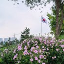 동산큰옷