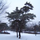 마곡지구 인접 9호선 역세권 가양동 중앙하이츠 45평(6억)!! 이미지