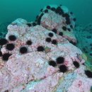 바다메디칼 이미지