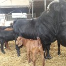 이천제이농장 이미지