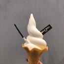 소프트올 이미지