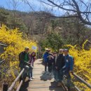 ● 24.3.31(일)(산사랑-시산제) - 뒷풀이 이미지