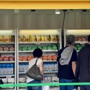 도인로 | 2025 임실치즈축제 주차전쟁 실화? 첫날 방문 후기