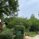 성동 서울숲 여름캠핑장 | [공지] [서울/서울숲] 명당에서 라라랜드 보고 온 후기｜서울국제정원박람회 한여름밤의 정원극장