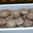 이인농장 이미지