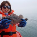 안면도바다사랑낚시 이미지