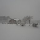 진경원민박캠핑장 이미지