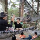 자연관찰 탐구활동 이미지