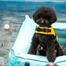 태봉모텔펜션 이미지