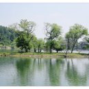 고운맘재가노인복지센터 이미지