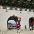 대림4길 6-1, (문화동) | 페트라콜린스 대림미술관 무료전시관람 후기 경복궁역 놀거리