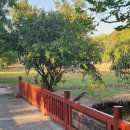 인화공원 화장실 1 | 251229-260102 / 태국 방콕_3일차 / 룸피니공원, 아유타와 투어, 카오산로드 카운트다운