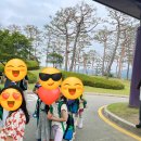 에버랜드 동물병원 | 에버랜드 이큐브스쿨 2024 1년 활동 후기(초1)