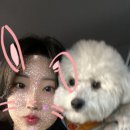 까만코 이미지