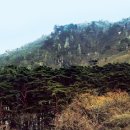 하원동-1 이미지