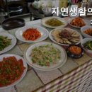자연생활의집청도 네이버블로그