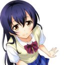 양지체육관 이미지