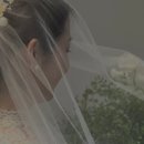라이크어스컴퍼니