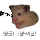 준참치스시 이미지