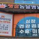 햇살동물병원 - 양천구 월정로 46 | 햇살동물병원