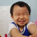 태진목장 이미지