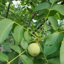 상미농장 이미지