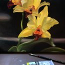 사임당로19길 28-7 이미지