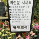 화훼갤러리